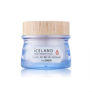The Saem Iceland Hydrating Water Volume Cream